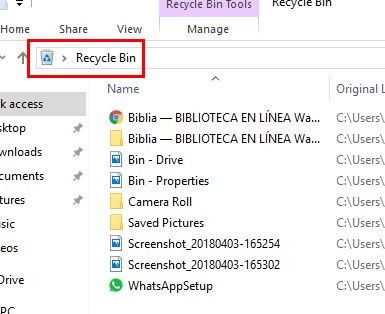 explorador de archivos bin