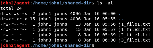 archivos en el directorio compartido