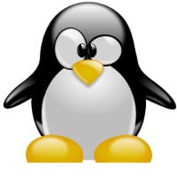 Guía para principiantes de Sed [Linux]
