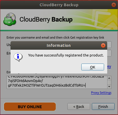 Registro exitoso de la copia de seguridad de CloudBerry