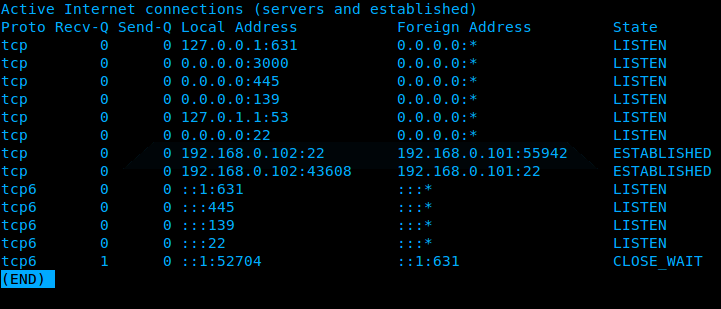 Ubuntu_netstat_dns_salida