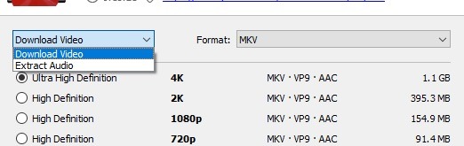 4k Video Downloader Extraer audio