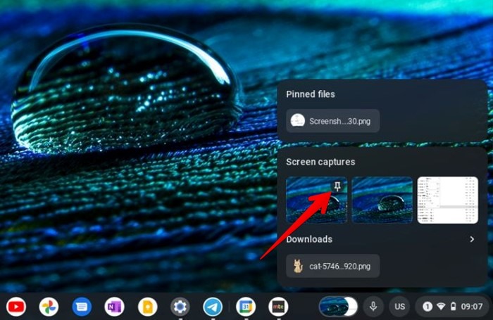 Chromebook Estante Tote Pin Archivo reciente