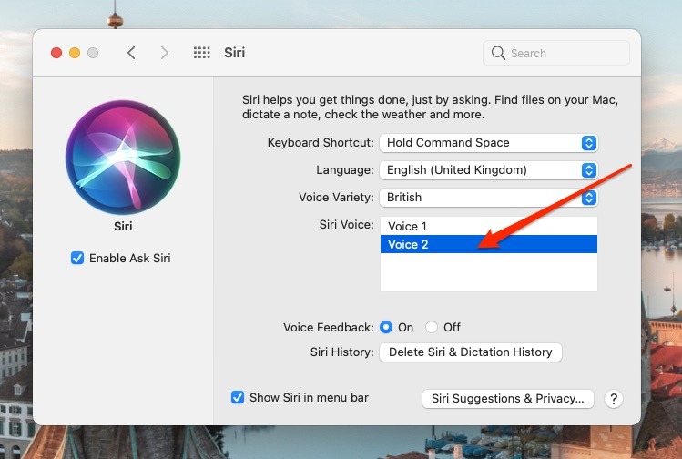 Captura de pantalla que muestra cómo cambiar la voz de Siri en Mac