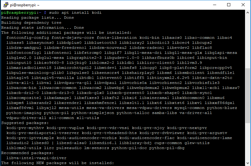Ventana de terminal de instalación de Kodi Raspbian