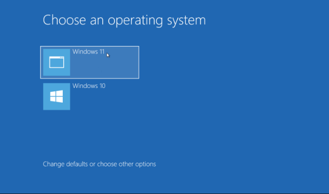 Pruebe Windows 11 Dual Boot 12 1