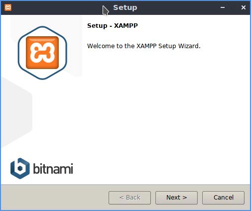 Instalador local de Linux Wp Xampp