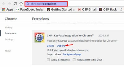 keepass-chrome-ckp-opciones-1