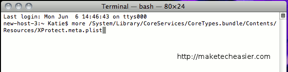 mac-terminal-con-comando-ingresado