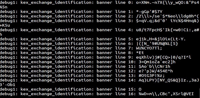 Prueba Ssh de Honeypot