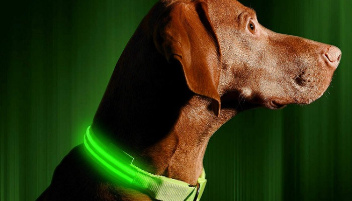 Pet Tech Ledcollar