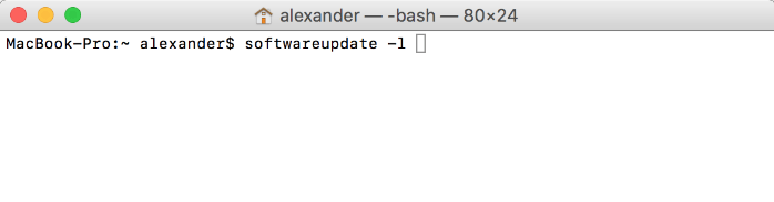 terminal-actualización-software-softwareupdate-1
