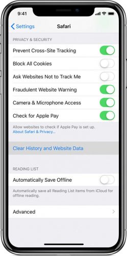 borrar-caché-iphone-o-ipad-borrar-historial-y-datos-del-sitio-web
