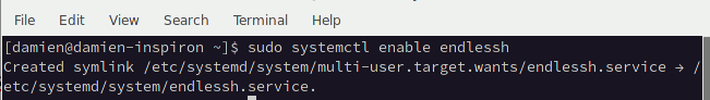 Ssh Honeypot Systemctl Habilitar sin fin