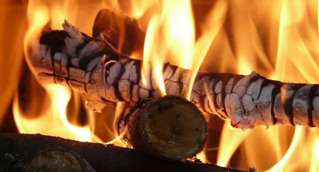 A tree branch getting roasted on a fire.