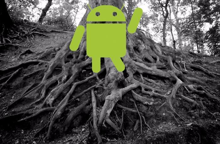 google-roots