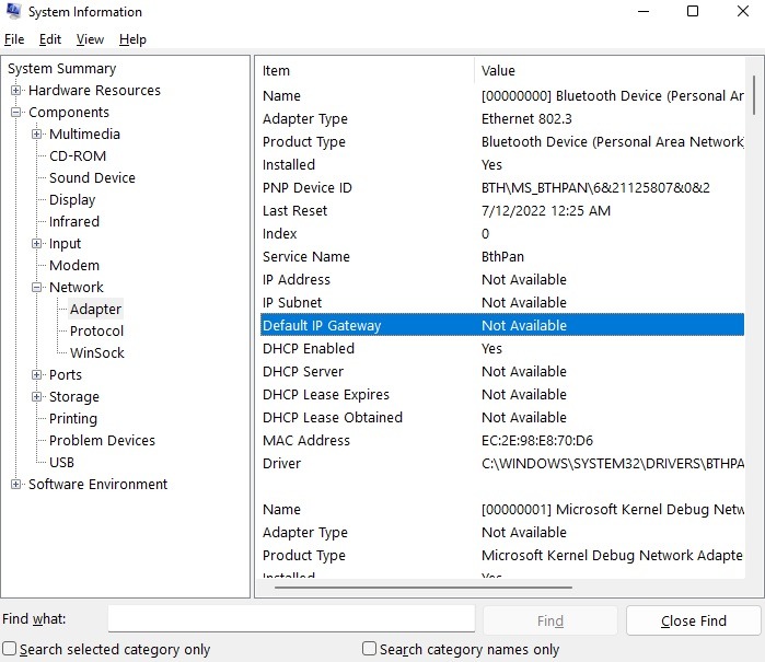 Cómo ver los detalles del adaptador de red en la información del sistema de Windows