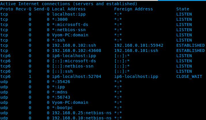 Ubuntu_netstat_all