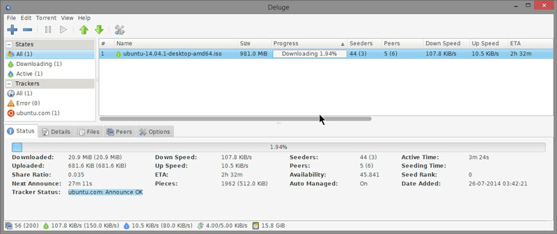 diluvio-clientes-torrent