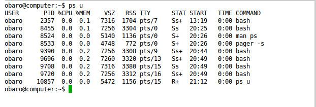 Muestra los procesos del usuario actual que están conectados a la Terminal.