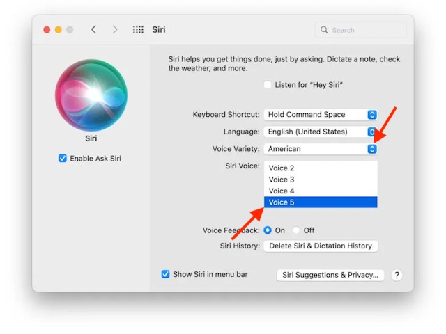 Elija variedad de voz y número de voz en Mac para la voz neutral de género de Siri