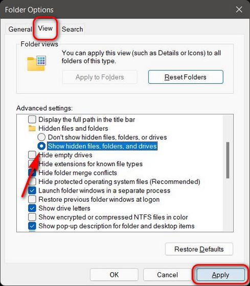 Mostrar archivos y carpetas ocultos en Windows 11